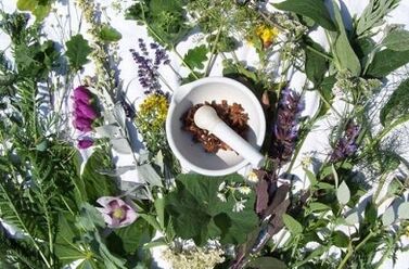 Folk remedies to increase potential
