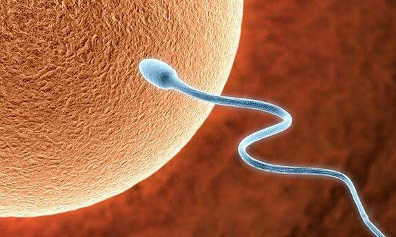 Biological function of Pre -Ejaculation